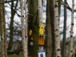 Field_Target_PJBRC_2017 (32 of 44)