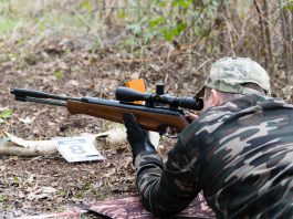 Field_Target_PJBRC_2017 (40 of 44)