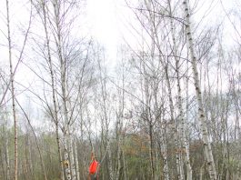 Field_Target_PJBRC_2017_Russ (20 of 126)