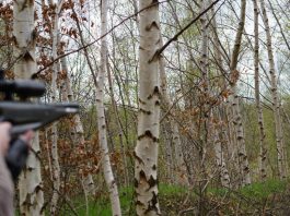 Field_Target_PJBRC_2017_Russ (91 of 126)