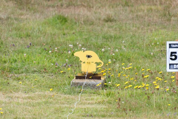Field_Target_GP8_Purbeck_2019 (8 of 56)