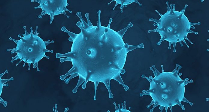 coronavirus website 2